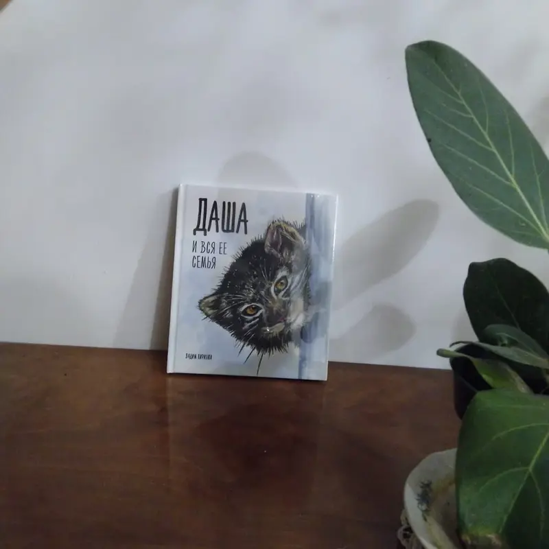 A photograph of a Pallas's cat