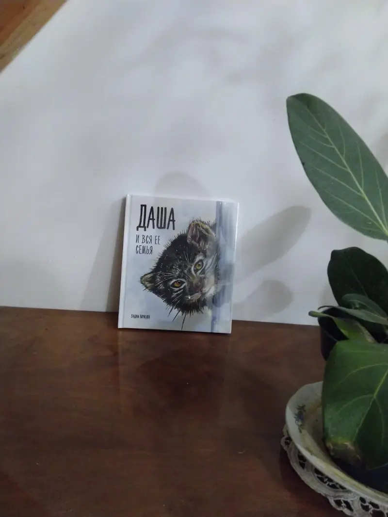 A photograph of a Pallas's cat