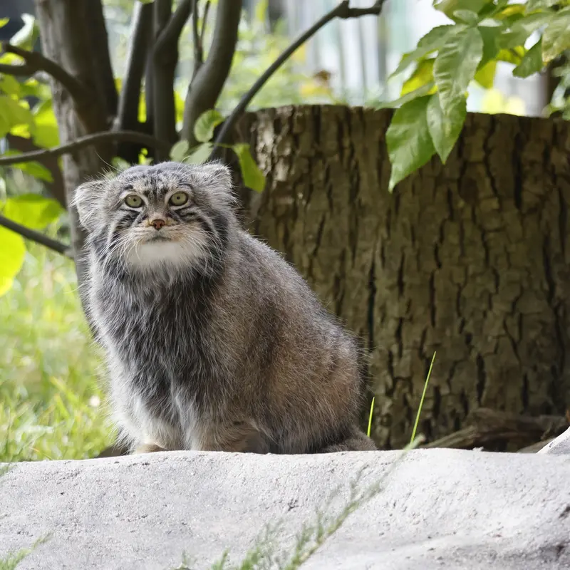 A photograph of Timofey in Moscow zoo
