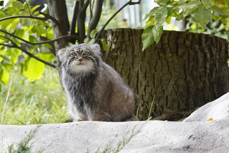 A photograph of Timofey in Moscow zoo