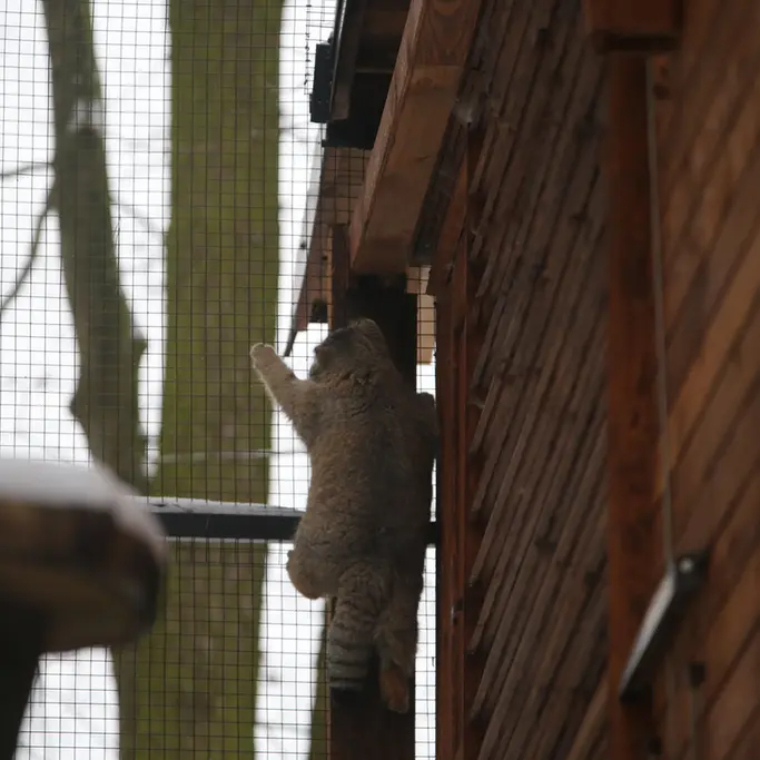 A photograph of Ula in Gdansk Zoo