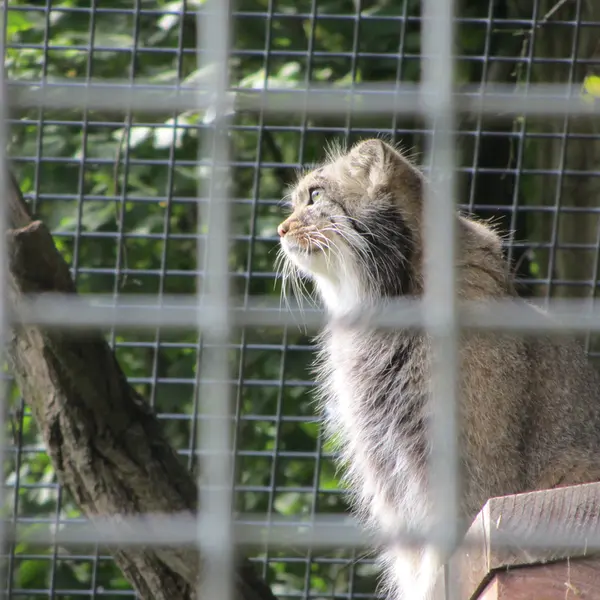 A photograph of Karl-Heinz in Saarbrücken Zoo