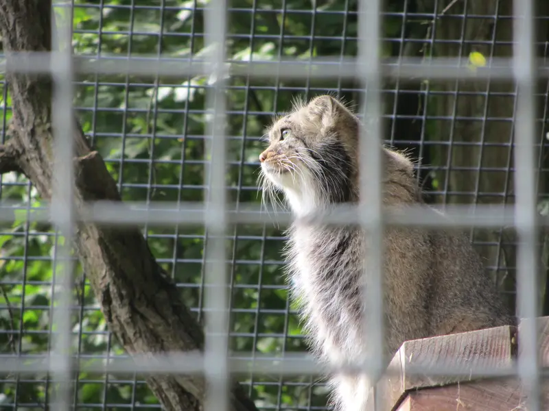 A photograph of Karl-Heinz in Saarbrücken Zoo