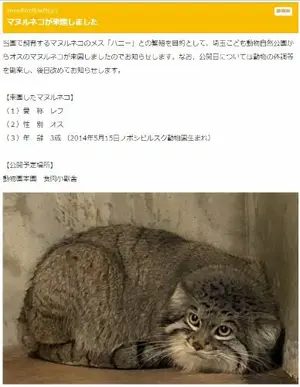 A photograph of Lev in Higashiyama Zoo and Botanical Gardens
