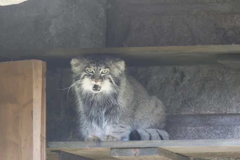 A photograph of Timofey in Moscow zoo