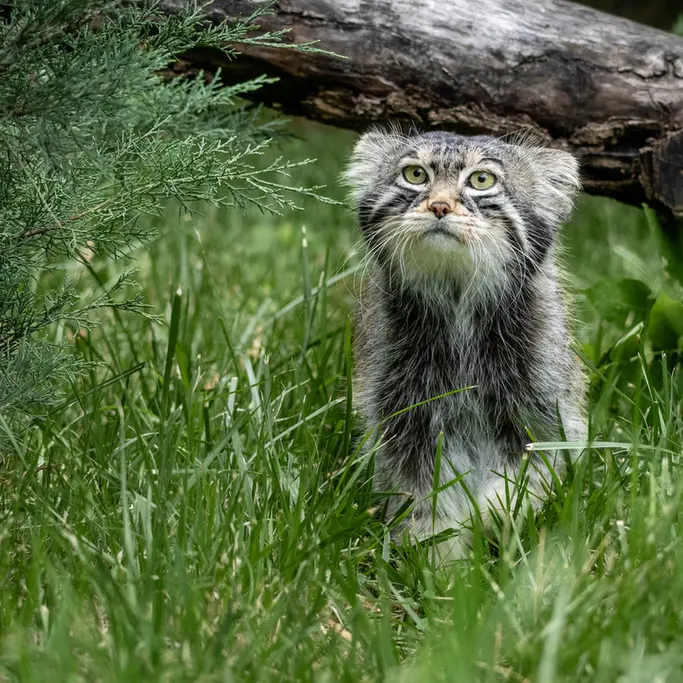 A photograph of Timofey in Moscow zoo