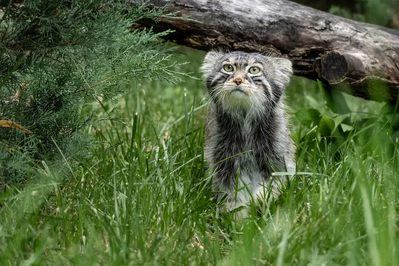 A photograph of Timofey in Moscow zoo