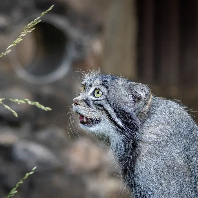 A photograph of Timofey in Moscow zoo