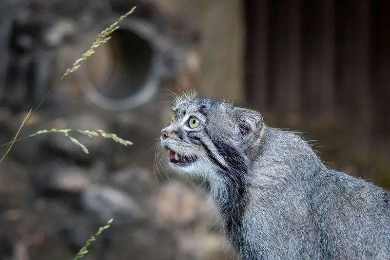 A photograph of Timofey in Moscow zoo