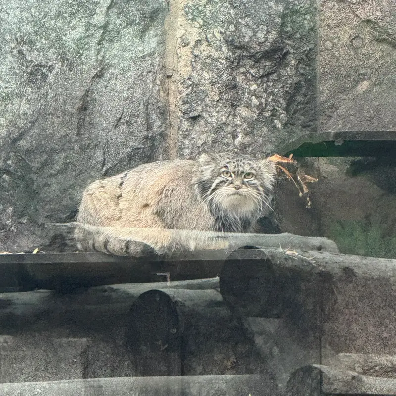 A photograph of Timofey in Moscow zoo