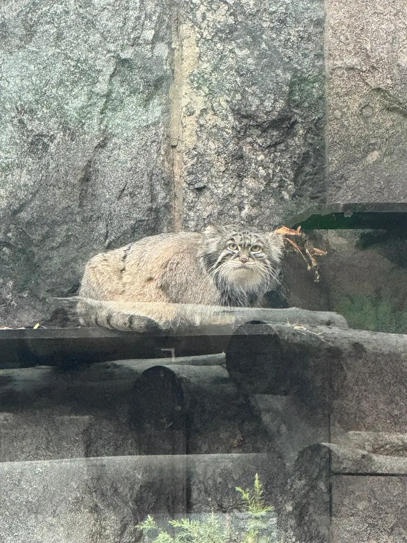 A photograph of Timofey in Moscow zoo