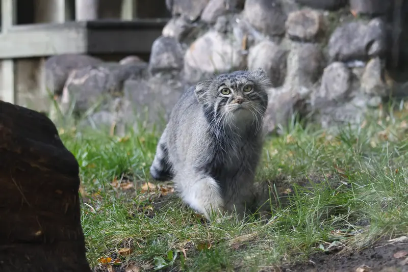 A photograph of Timofey in Moscow zoo