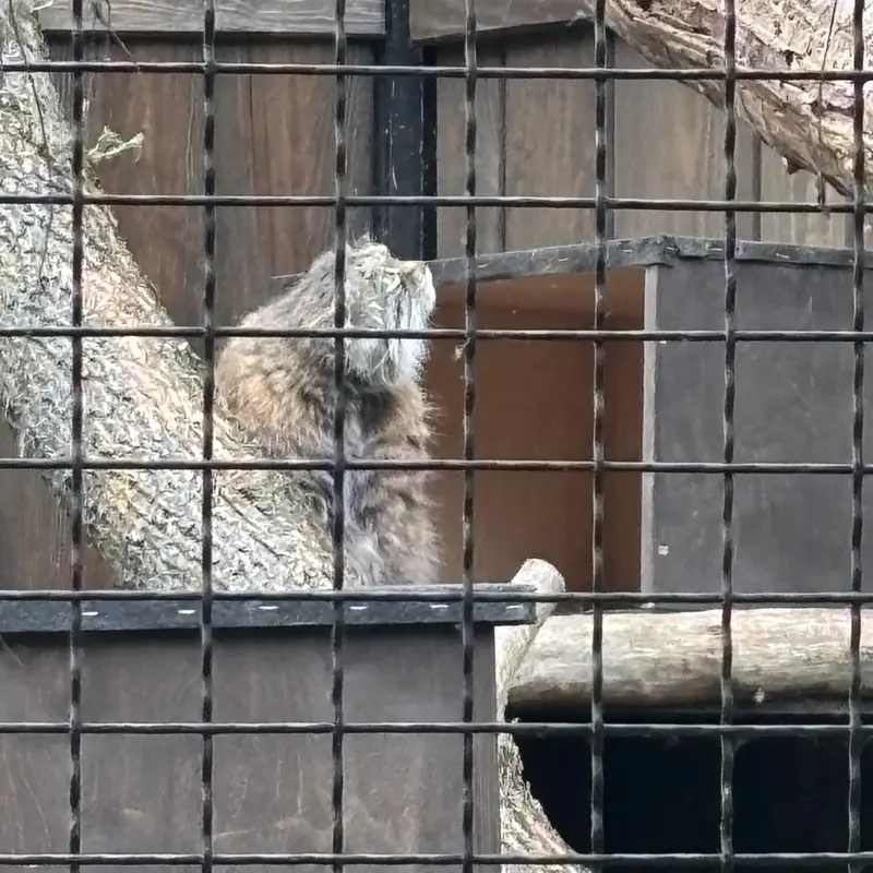A photograph of Jessie in Warsaw Zoo