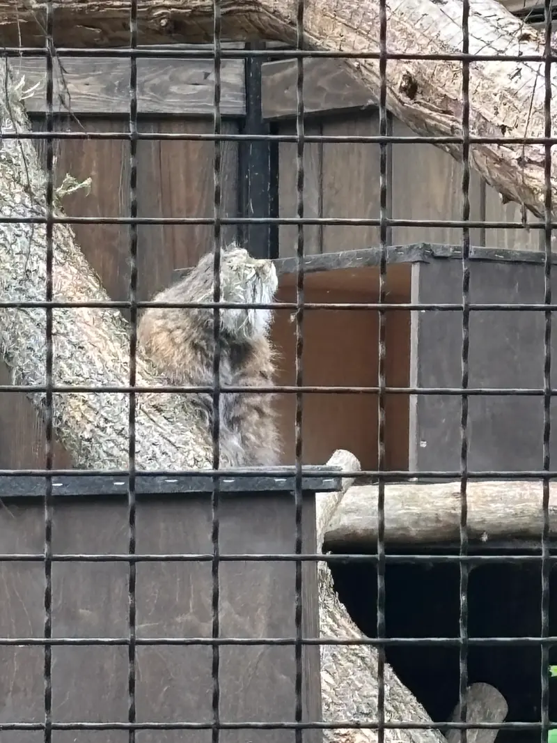 A photograph of Jessie in Warsaw Zoo