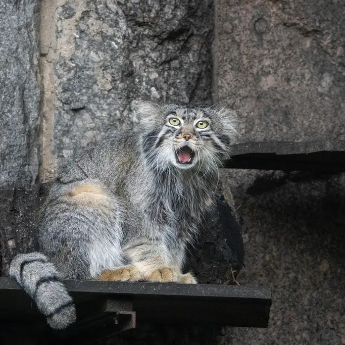 A photograph of Timofey in Moscow zoo