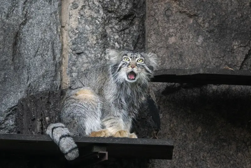 A photograph of Timofey in Moscow zoo