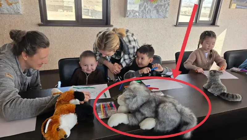 A photograph of a Pallas's cat