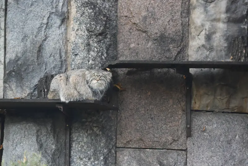 A photograph of Timofey in Moscow zoo