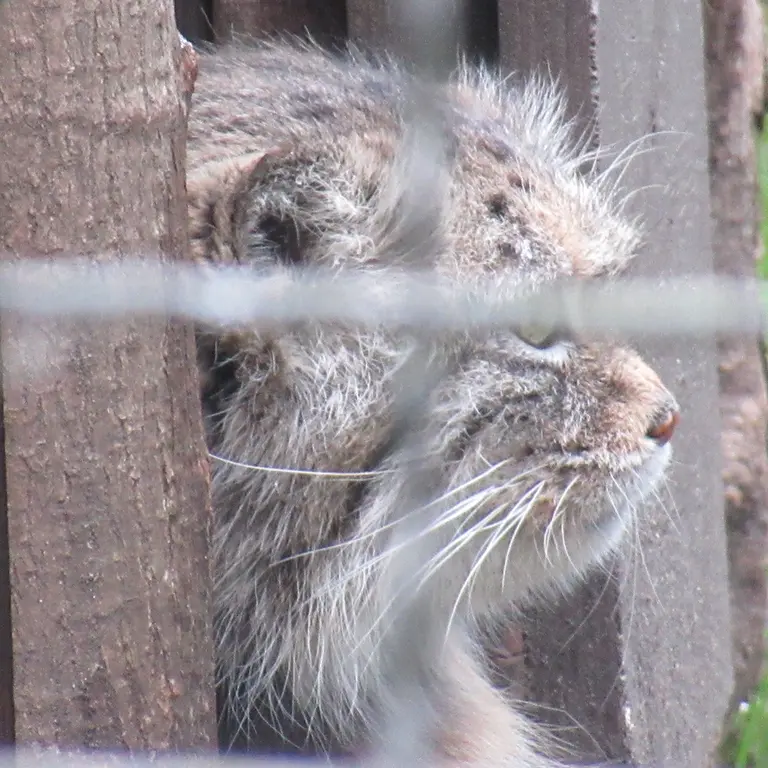 A photograph of Jessie in Warsaw Zoo