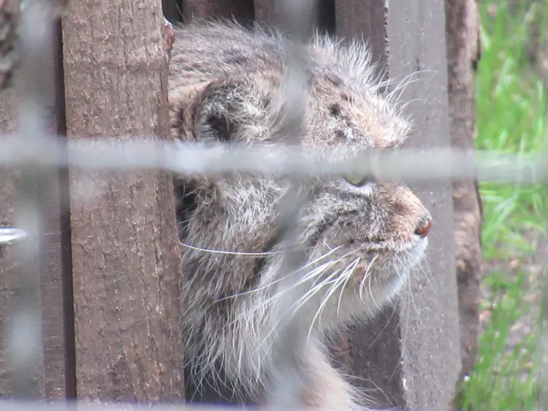 A photograph of Jessie in Warsaw Zoo