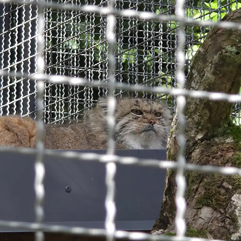 A photograph of Melissa in Lithuanian Zoo