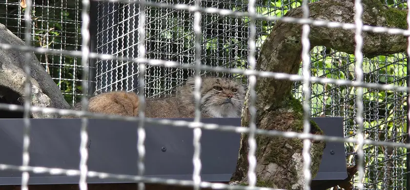 A photograph of Melissa in Lithuanian Zoo