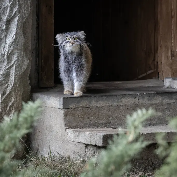 A photograph of Timofey in Moscow zoo