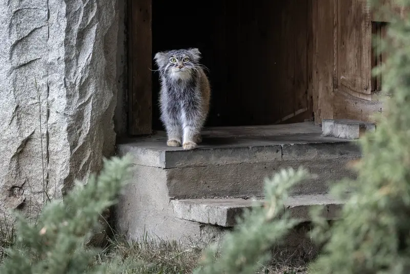 A photograph of Timofey in Moscow zoo