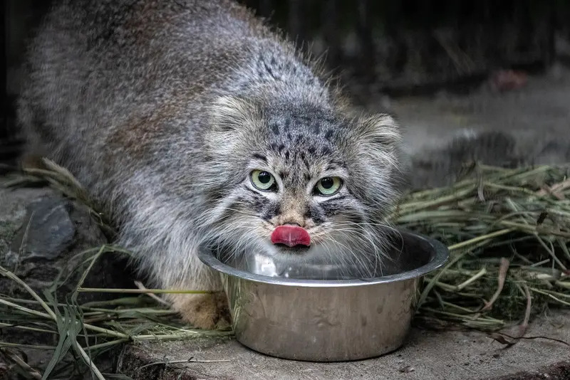 A photograph of Gabi in Novosibirsk Zoo