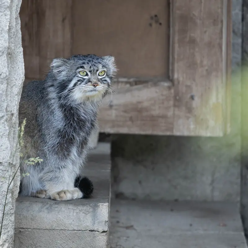 A photograph of Timofey in Moscow zoo
