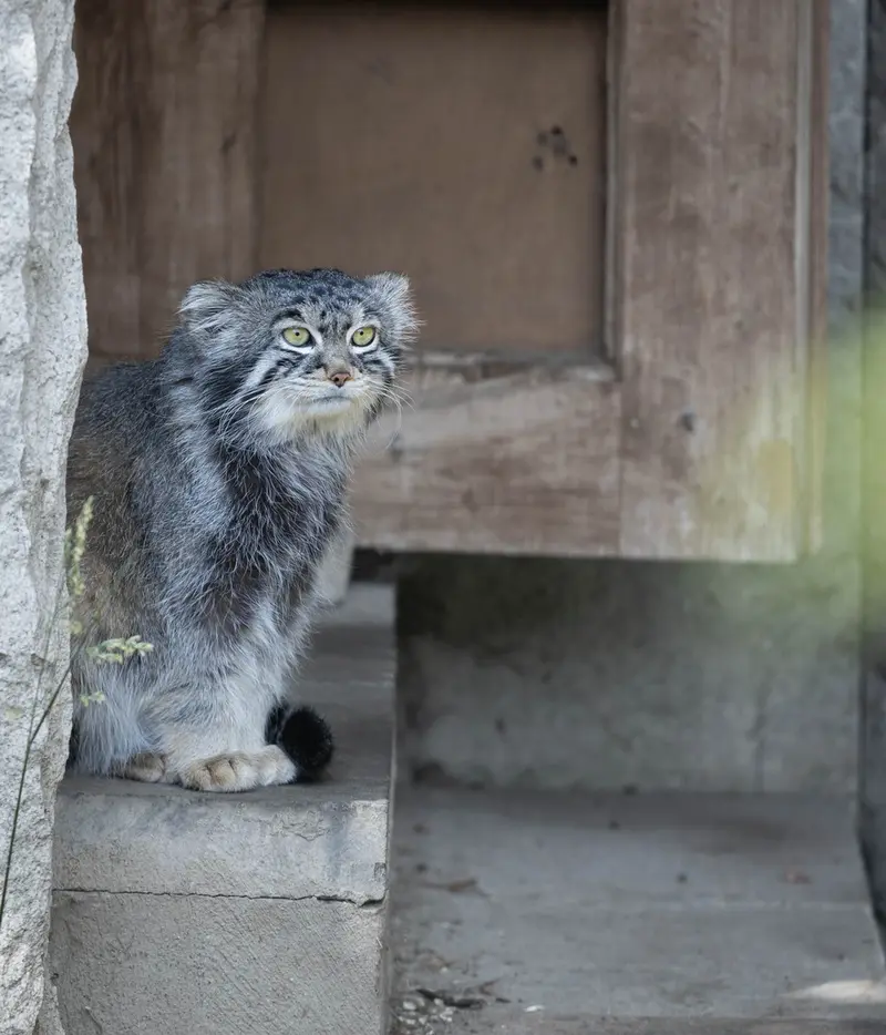A photograph of Timofey in Moscow zoo