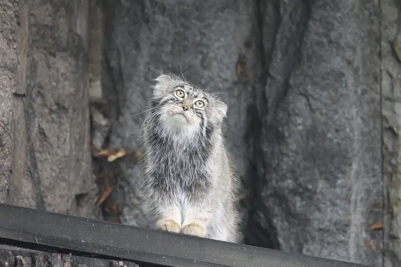 A photograph of Timofey in Moscow zoo