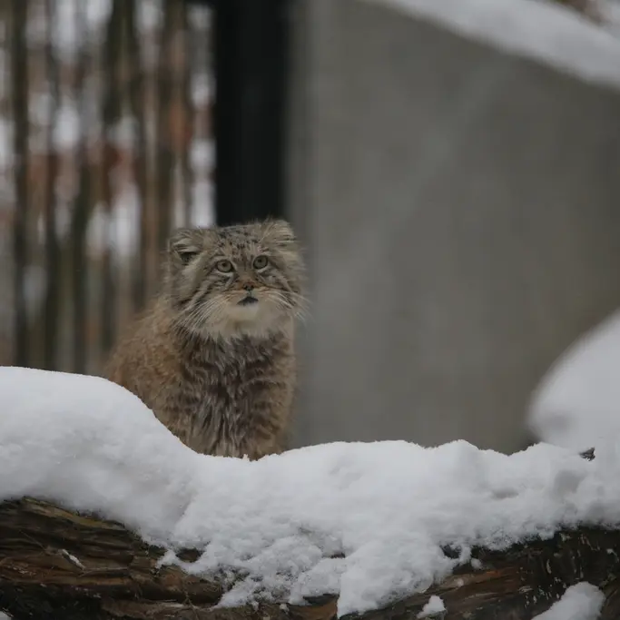 A photograph of Manuel in Gdansk Zoo