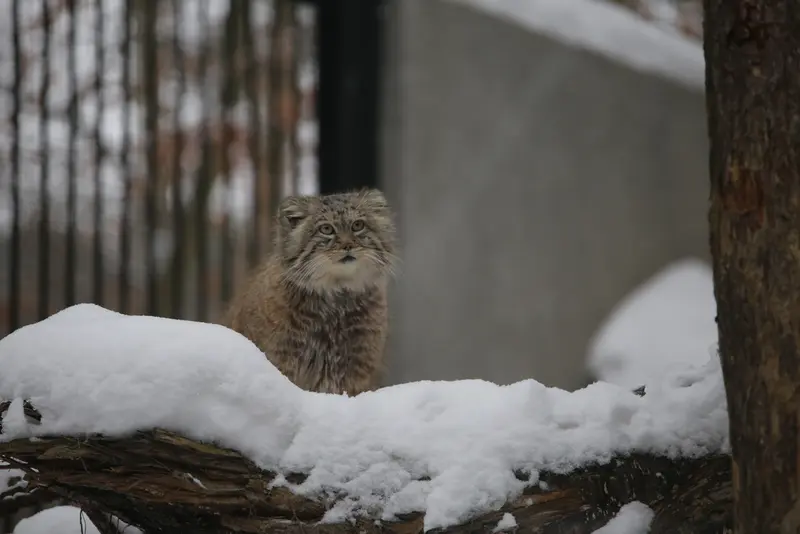 A photograph of Manuel in Gdansk Zoo
