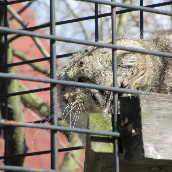 A photograph of Jonathan in Magdeburg Zoo