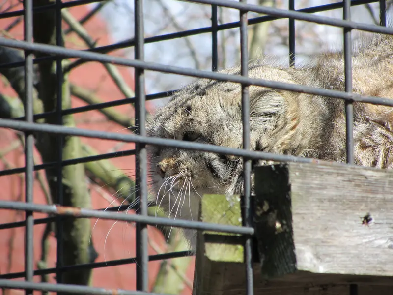 A photograph of Jonathan in Magdeburg Zoo