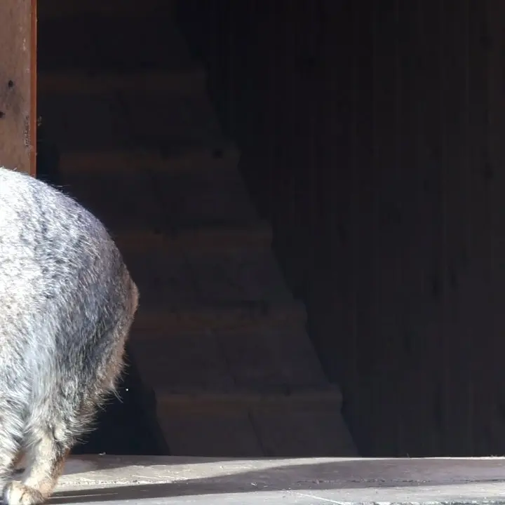 A photograph of Timofey in Moscow zoo