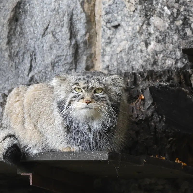 A photograph of Timofey in Moscow zoo
