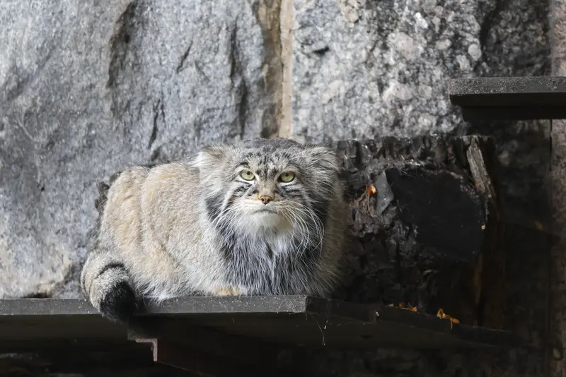 A photograph of Timofey in Moscow zoo