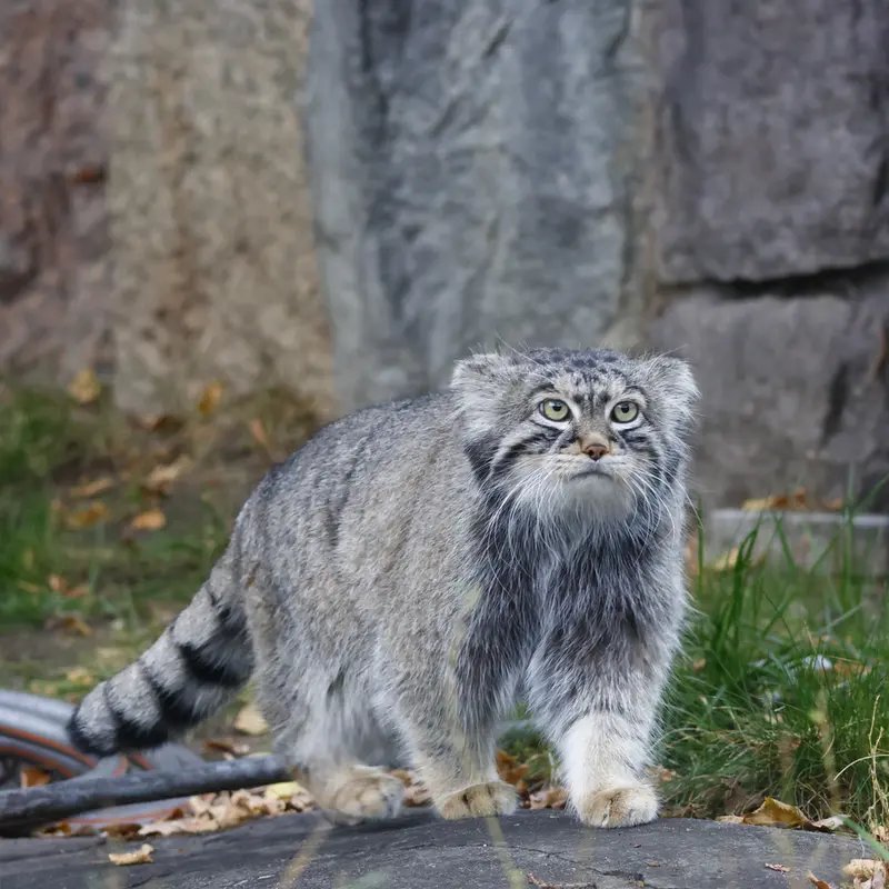 A photograph of Timofey in Moscow zoo
