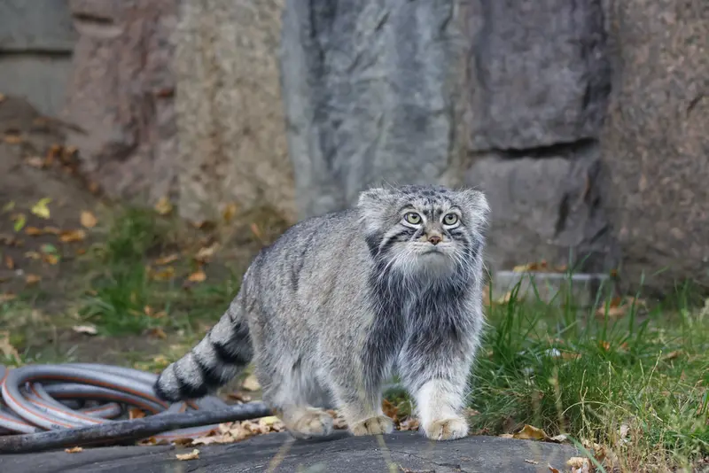 A photograph of Timofey in Moscow zoo