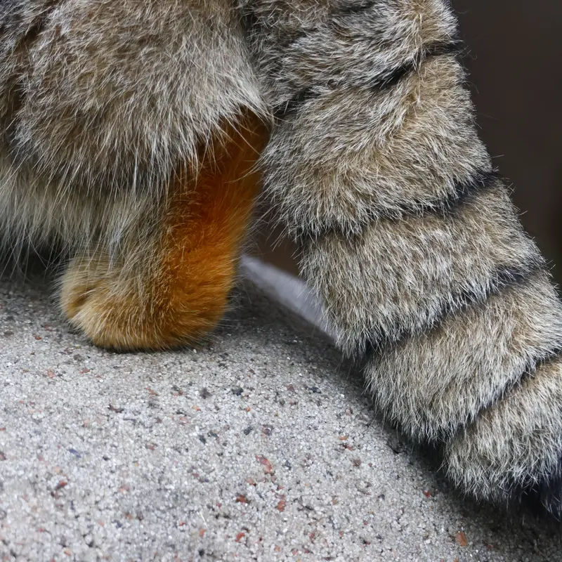 A photograph of Timofey in Moscow zoo