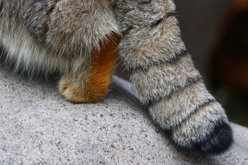 A photograph of Timofey in Moscow zoo