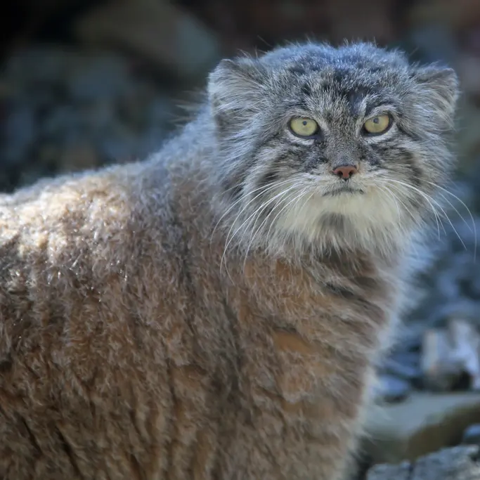 A photograph of Moira in Ostrava Zoo