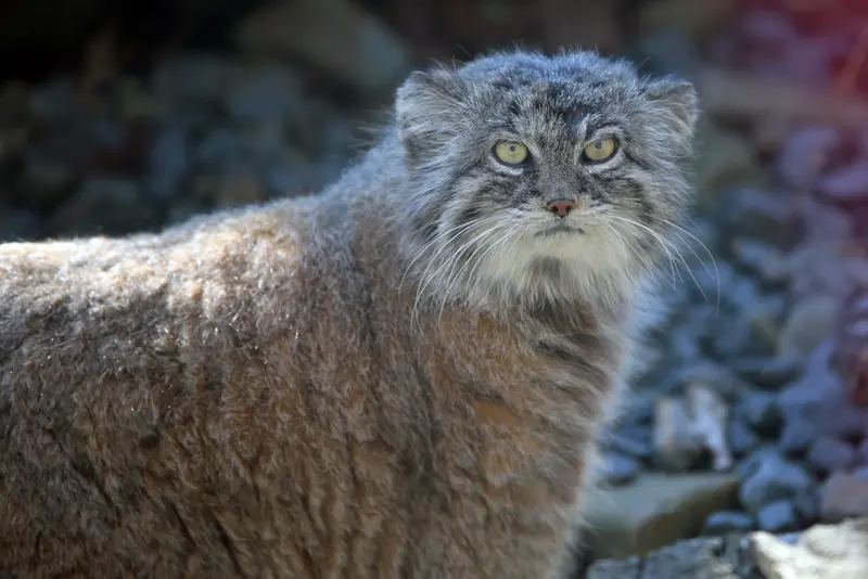 A photograph of Moira in Ostrava Zoo