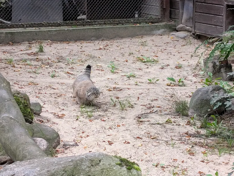 A photograph of Bozenka in Poznan New Zoo