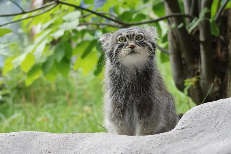 A photograph of Timofey in Moscow zoo