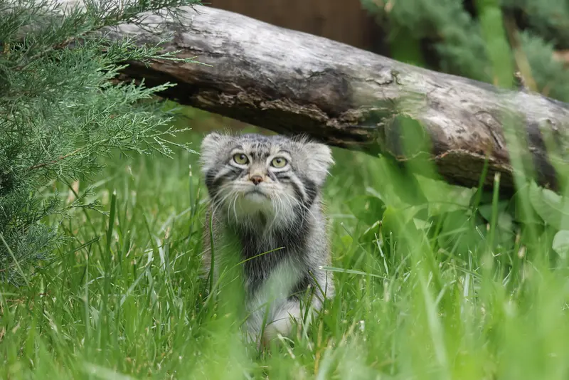 A photograph of Timofey in Moscow zoo