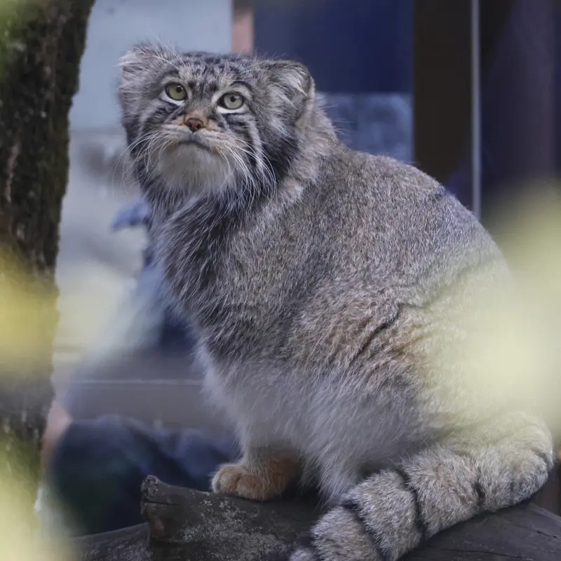 A photograph of Timofey in Moscow zoo