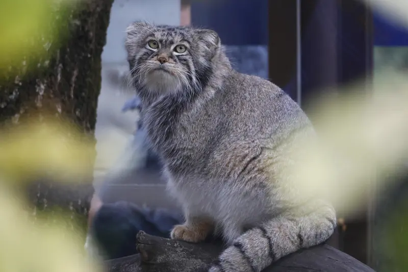 A photograph of Timofey in Moscow zoo